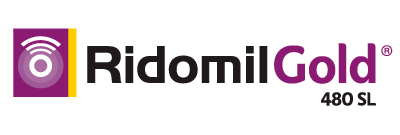 Ridomil Gold® 480SL fungicida syngenta Ridomil Gold® 480SL es un fungicida sistémico para el control de las enfermedades