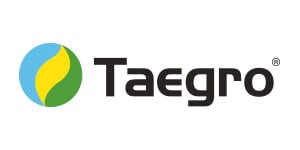 Taegro® es un fungicida microbiano agrícola Taegro® promotor de crecimiento en la planta y produce también agentes anti fúngicos y enzimas.
