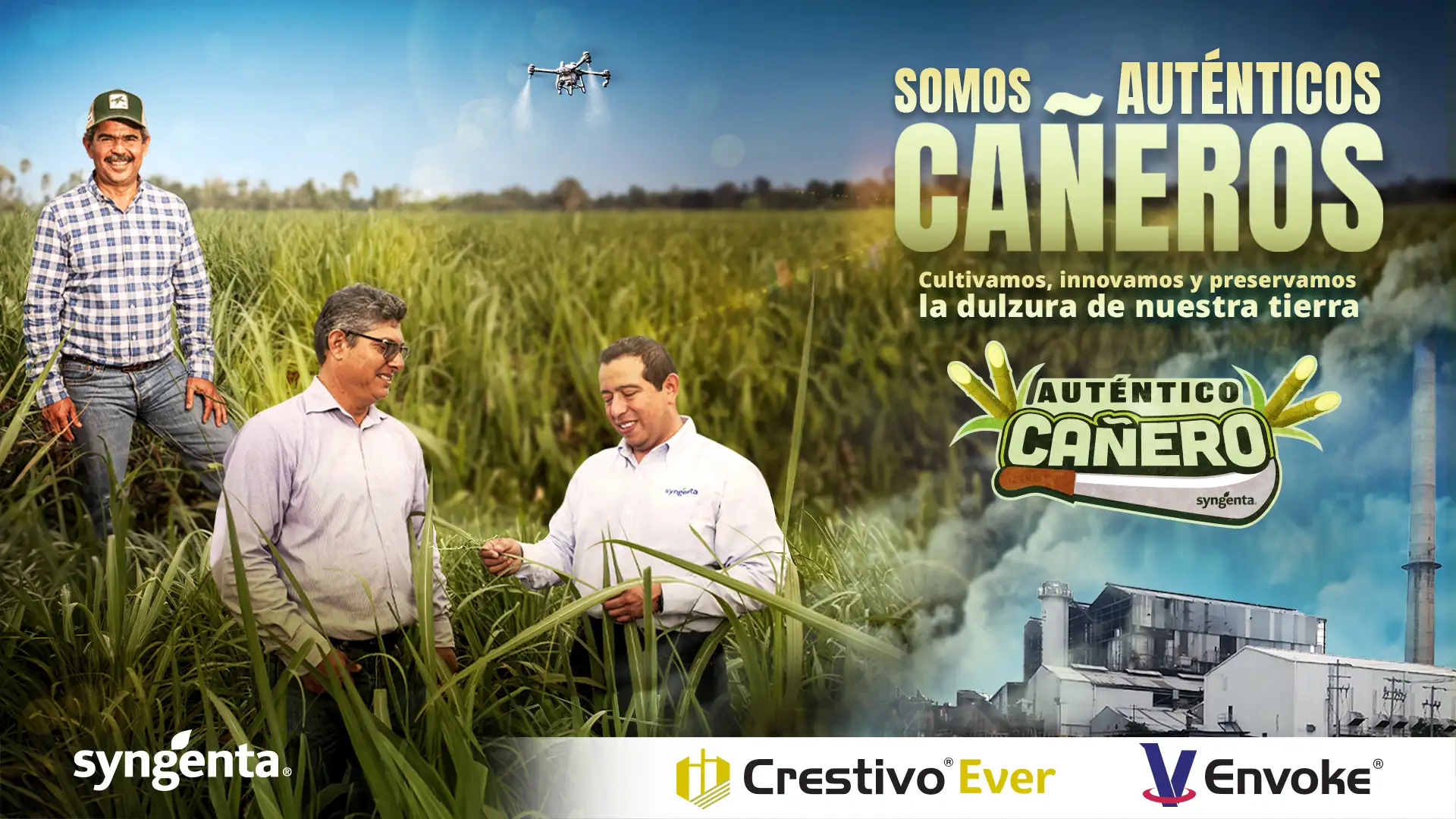 Productores cañeros en campo con especialistas de Syngenta, promoviendo innovación sostenible en cultivo de caña.