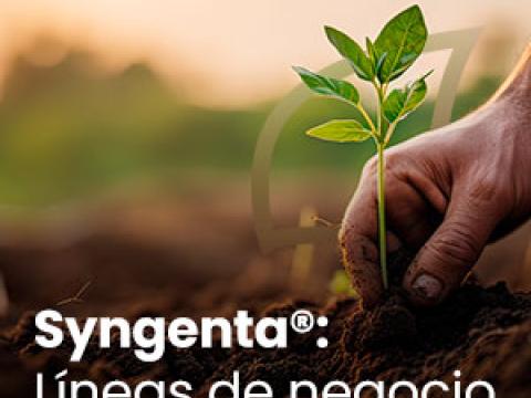 lineas de negocios 