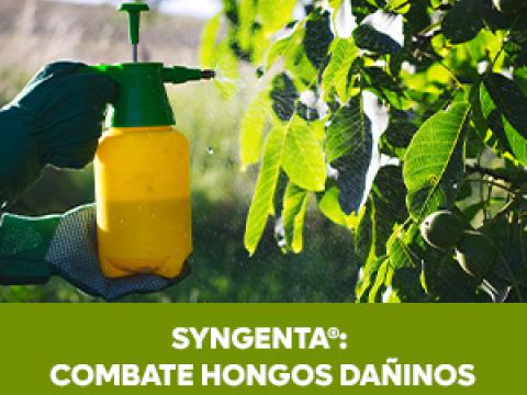 Syngenta Combate Hongos Dañinos