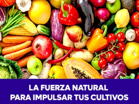 La Fuerza Natural para impulsar cultivos, los beneficios de los bioestimulantes