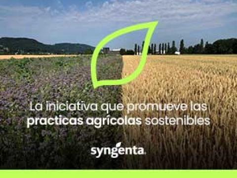 LivinGro de Syngenta Iniciativa para cuidar el suelo