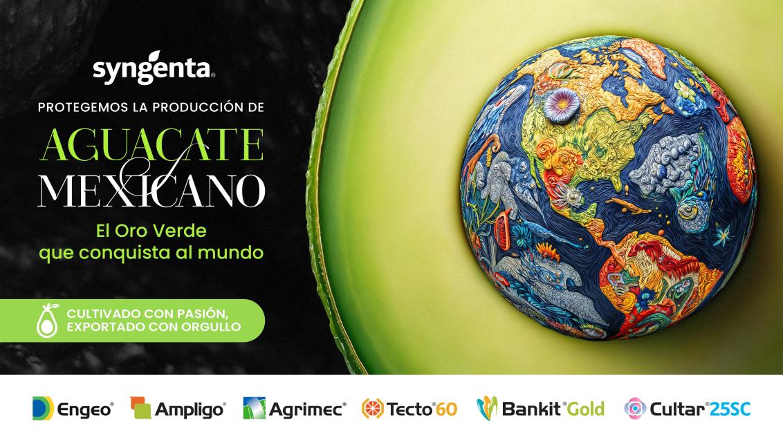 formato_horizontal_aguacate_1920x1080px_oroverde_naranja_1.jpg
