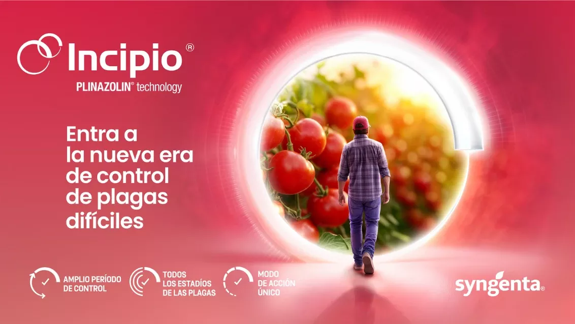 Incipio_Tomate_MX