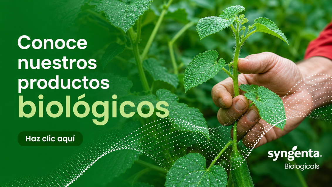 Bilogicos