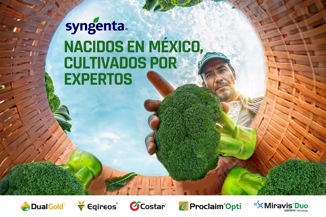 exportacion brocoli nacional