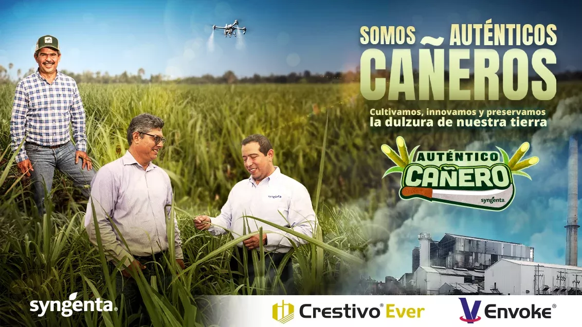 caña cultivamos innovamos y preservamos la dulzura de nuestra tierra