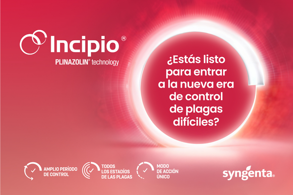 Incipio_KV