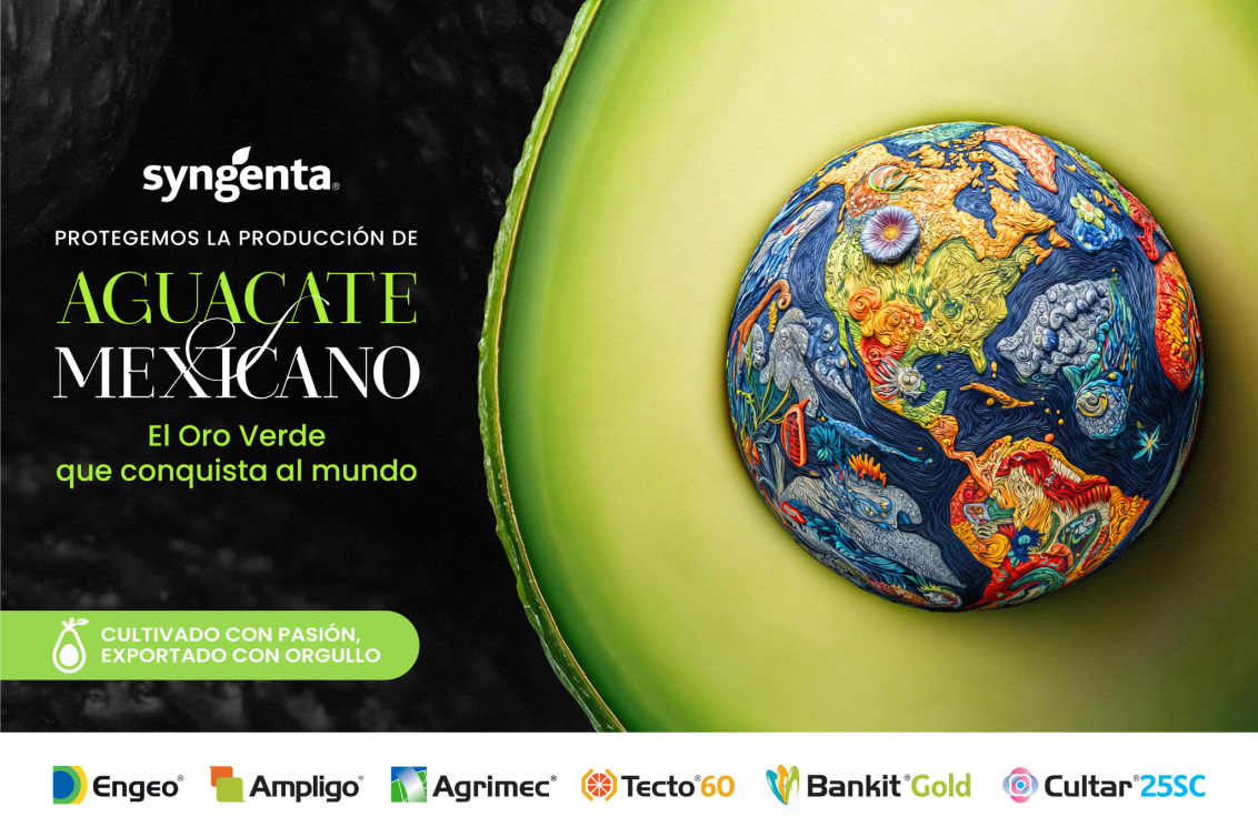 aguacate_kv