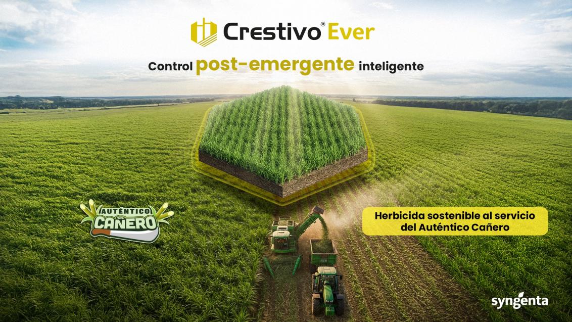 KV Crestivo Ever