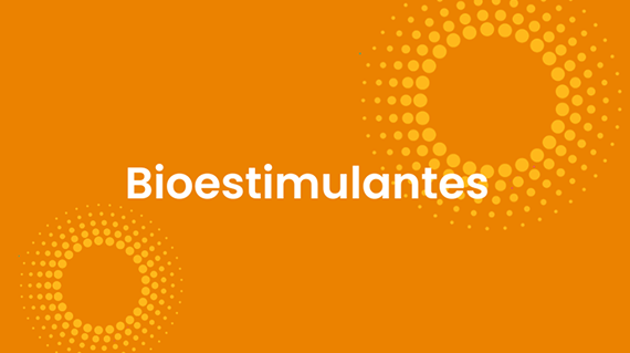 Bioestimulantes y especialidades nutricionales