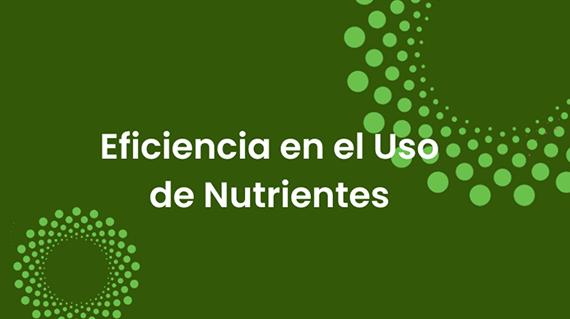 Eficiencia en el uso de nutrientes