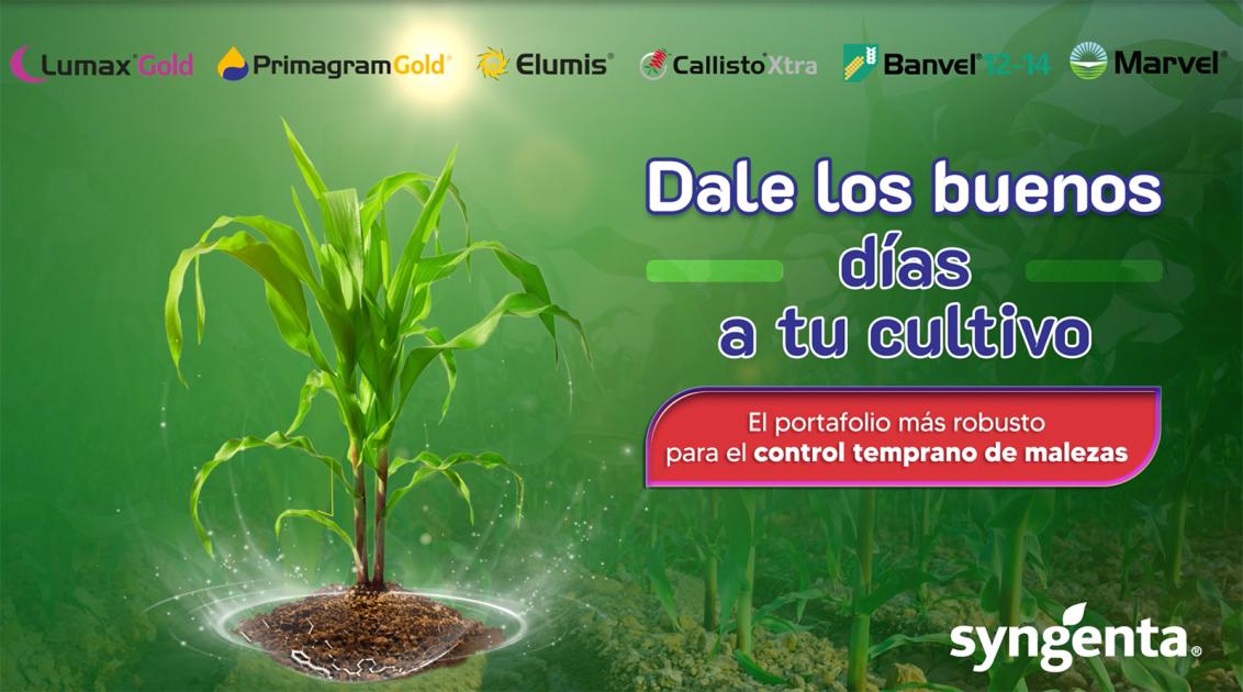 bannercontroltempranomaleza