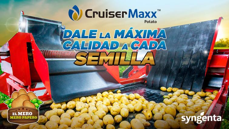 CRUSIER MAXX POTATO | Syngenta