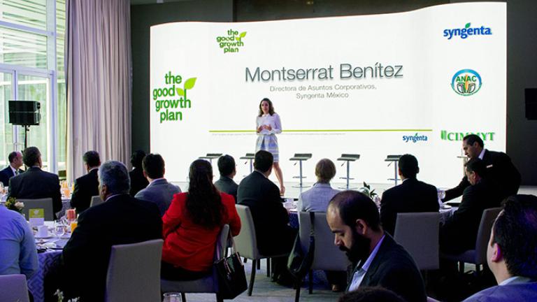 Syngenta México