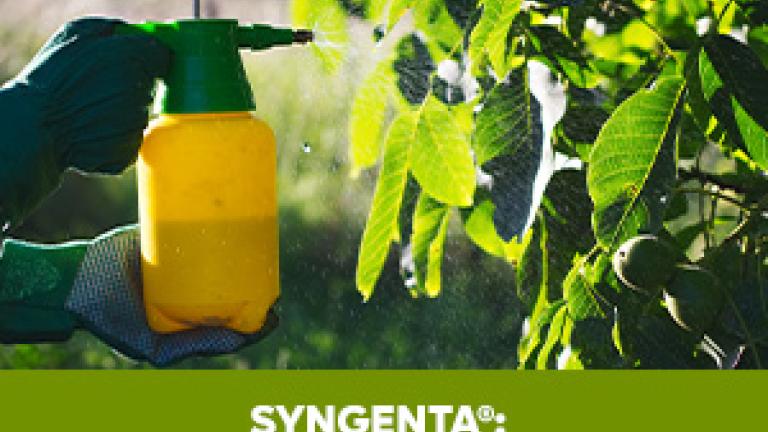 Syngenta Combate Hongos Dañinos