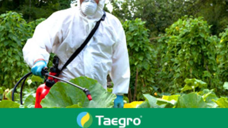Taegro fungicida protege contra hongos