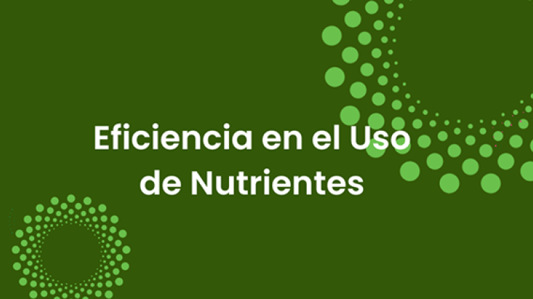 Eficiencia en el uso de nutrientes