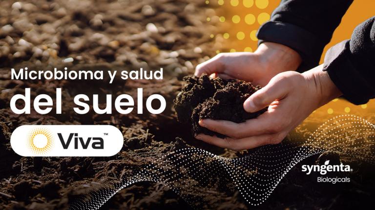 Manos sosteniendo tierra; texto “Microbioma y salud del suelo”, logo de Syngenta.