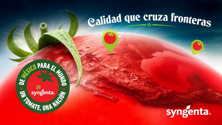 Syngenta MX