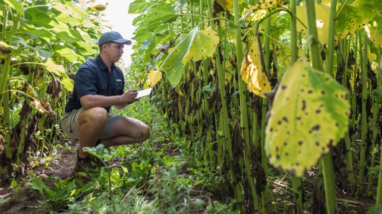 biofacts-article-06.jpg