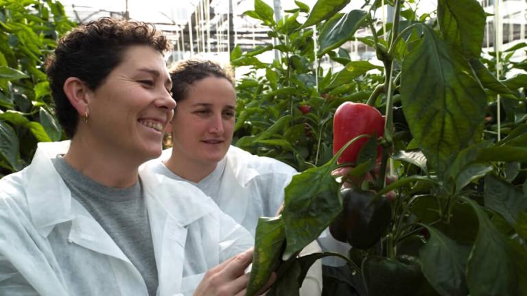 biofacts-article-14.jpg