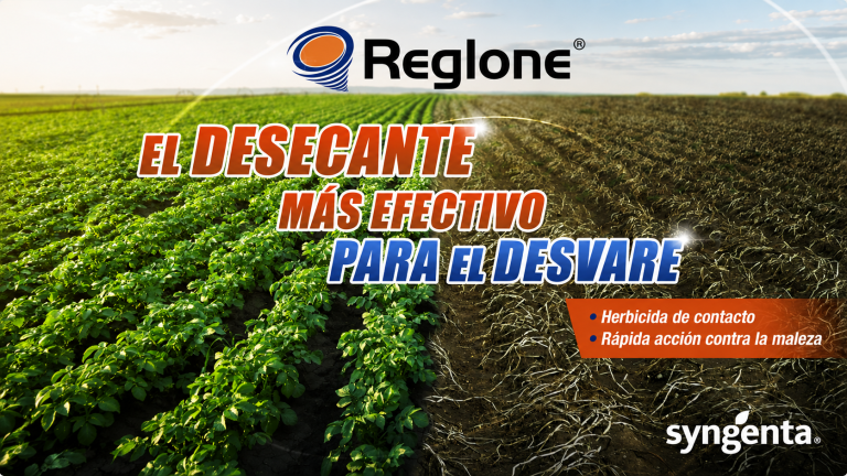 Campo verde de cultivo con texto publicitario de Reglone y Syngenta en español