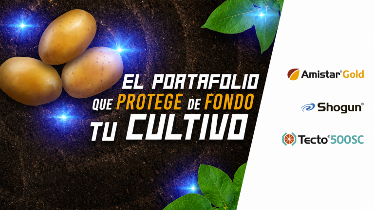 Banner con texto “El portafolio que protege el fondo de tu colchón” y lista de opciones