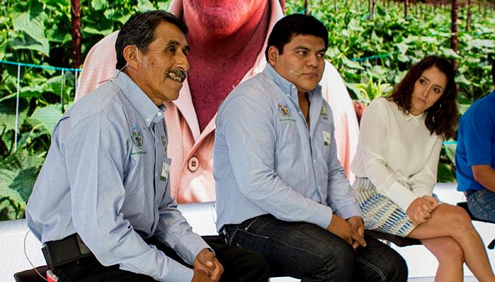 Syngenta México