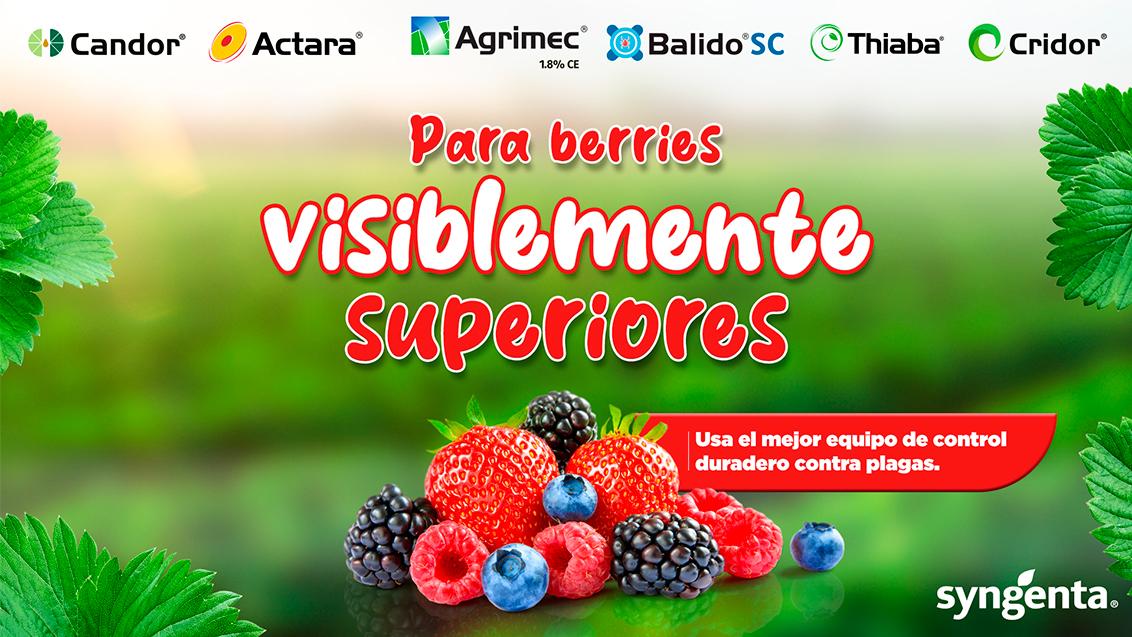 Berries landing 2