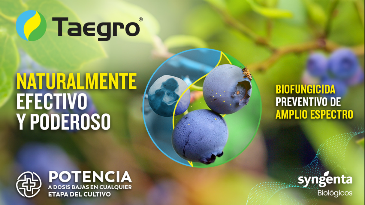captura_de_pantalla_2024-03-13_094953.png