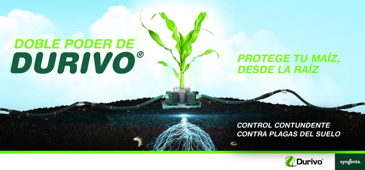 Durivo