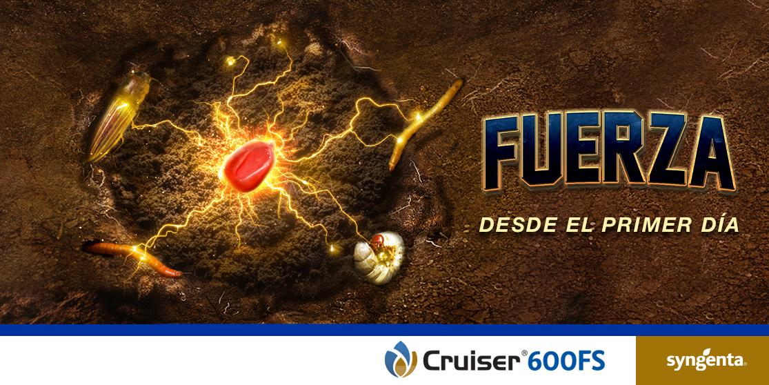 fuerza desde el primer día 
