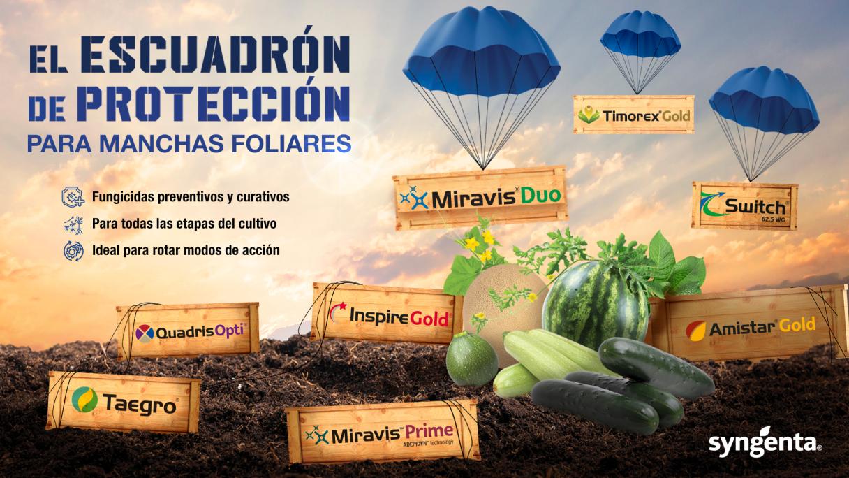 kv_horizontal_manchasfoliares_cucurbitaceas_full_hd.jpg