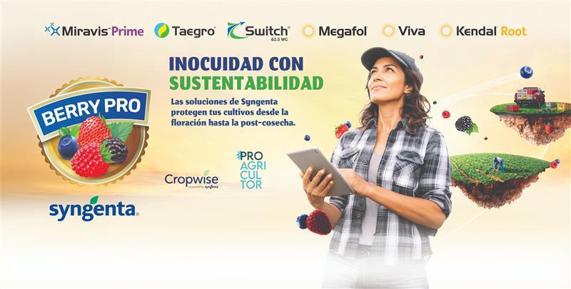 Berry Pro Syngenta