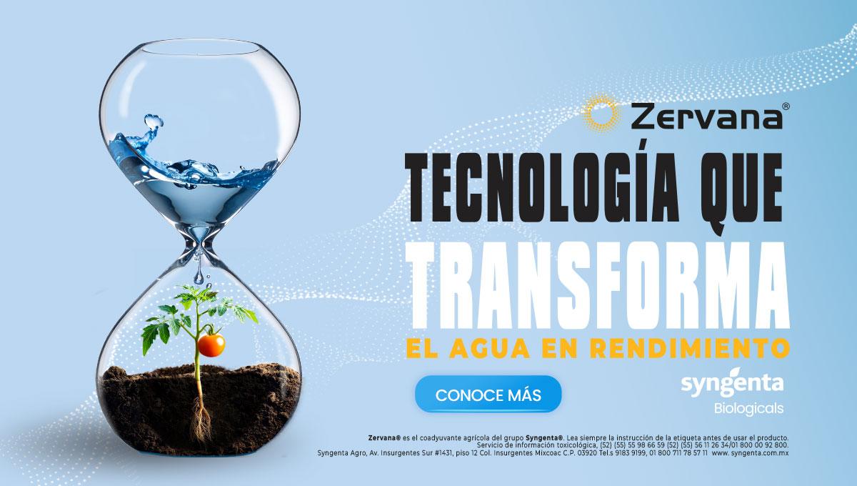 zervana banner