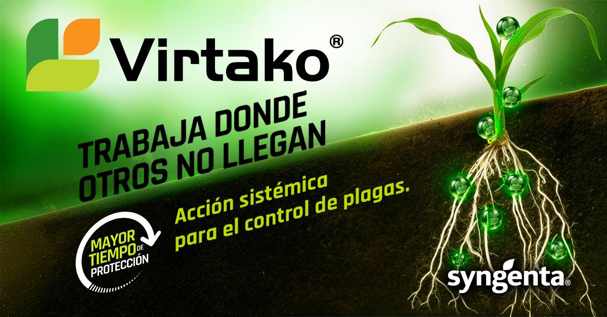 banner virtako