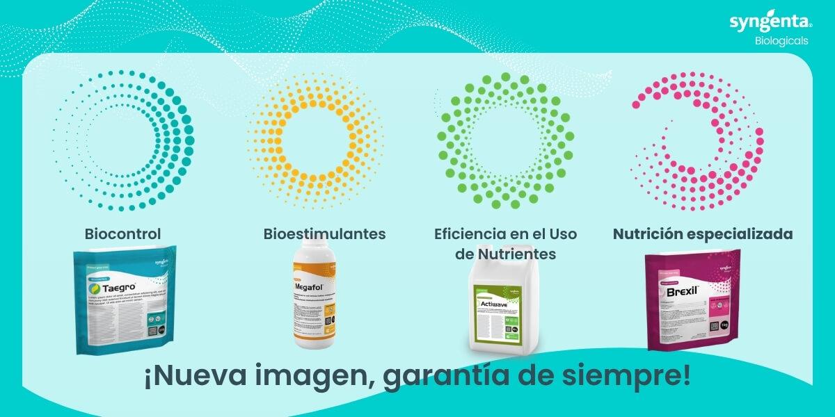 Syngenta Biologicals