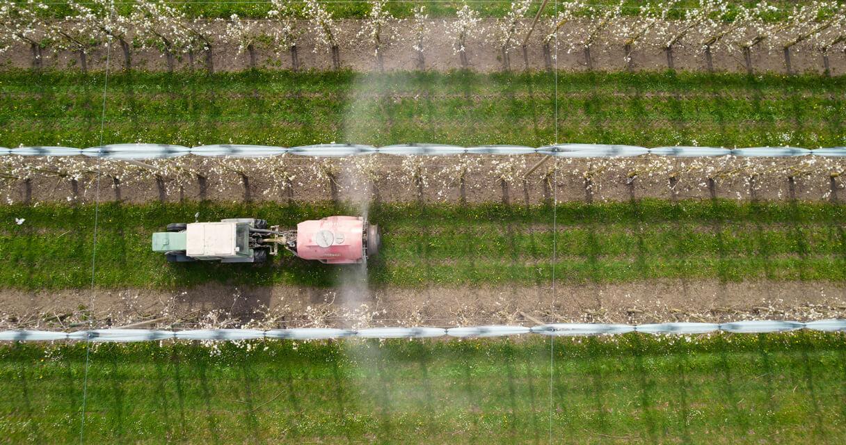 biofacts-article-01.jpg