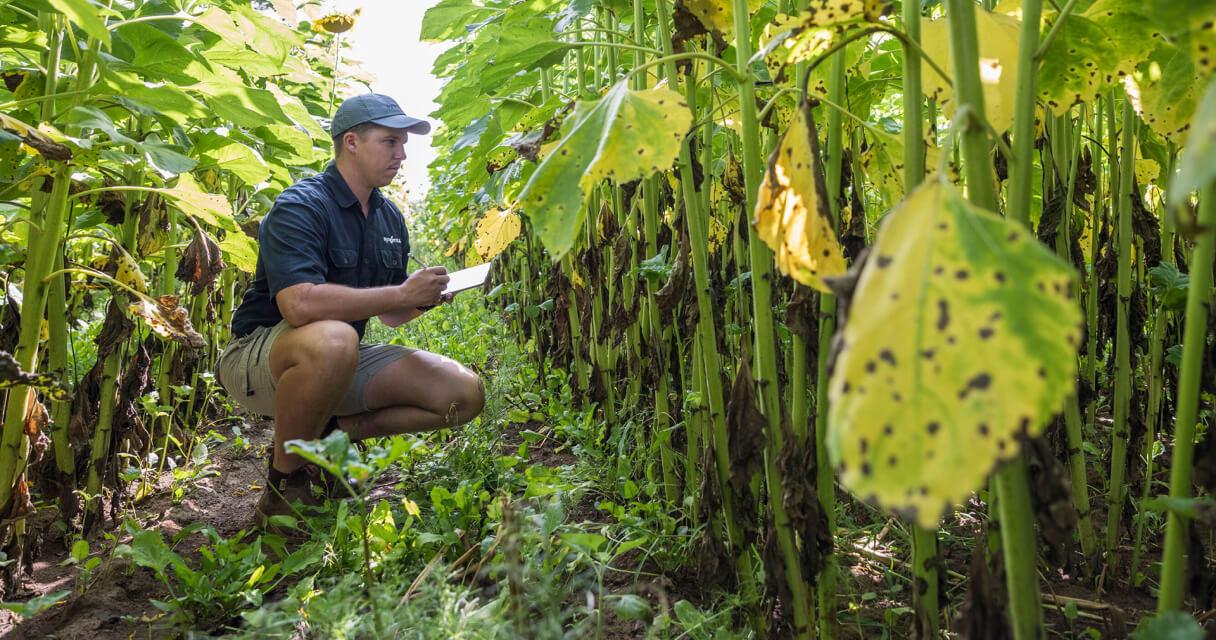 biofacts-article-06.jpg