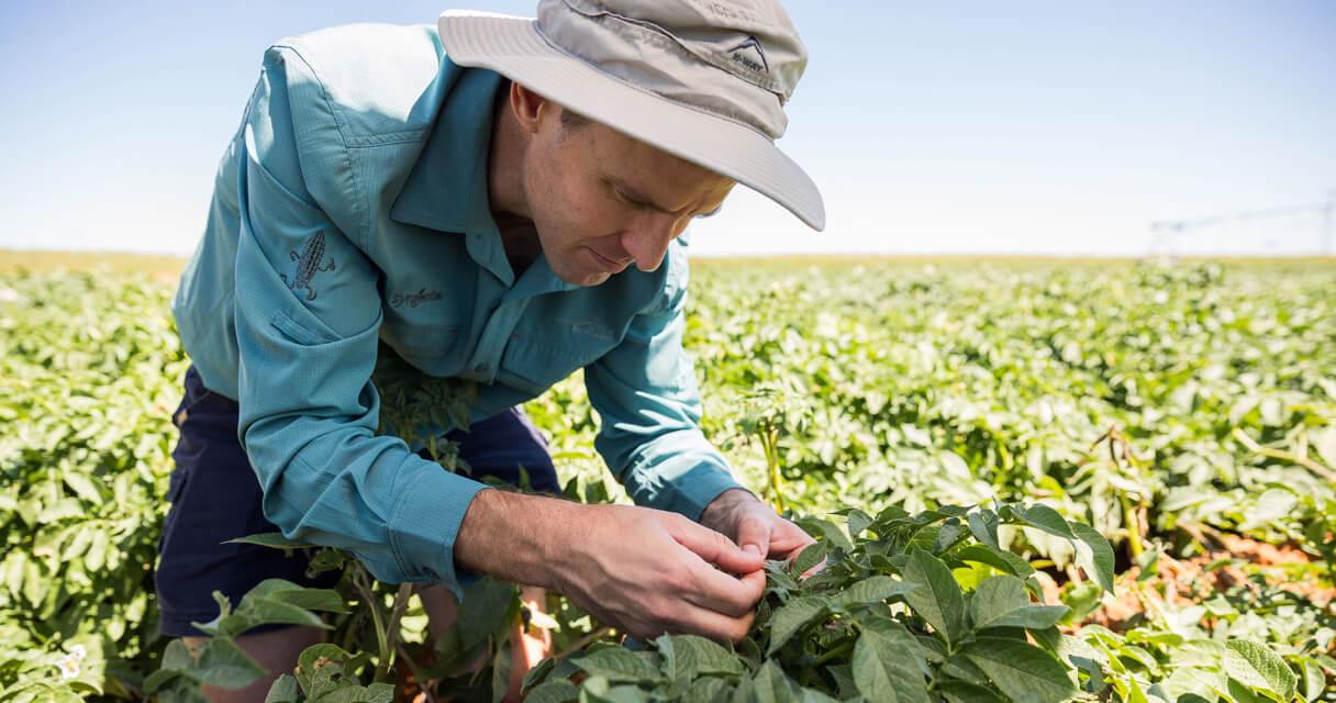 biofacts-article-10.jpg