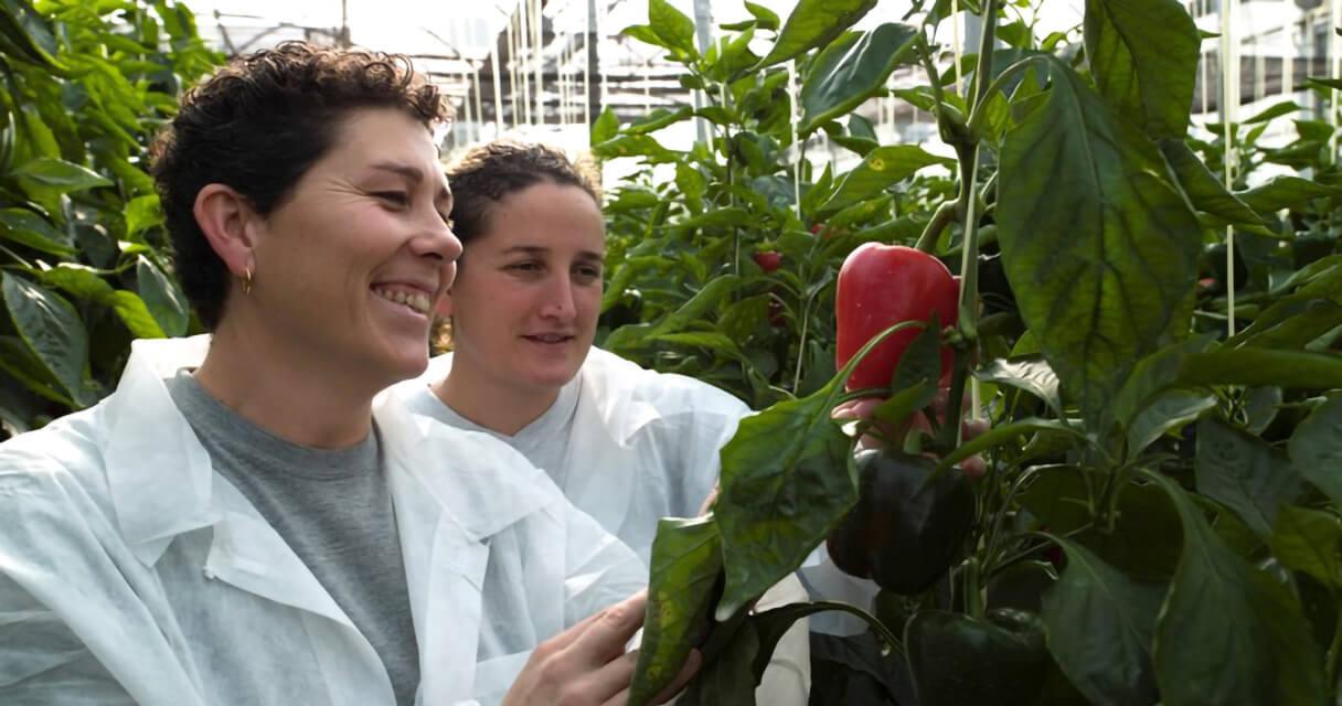 biofacts-article-14.jpg