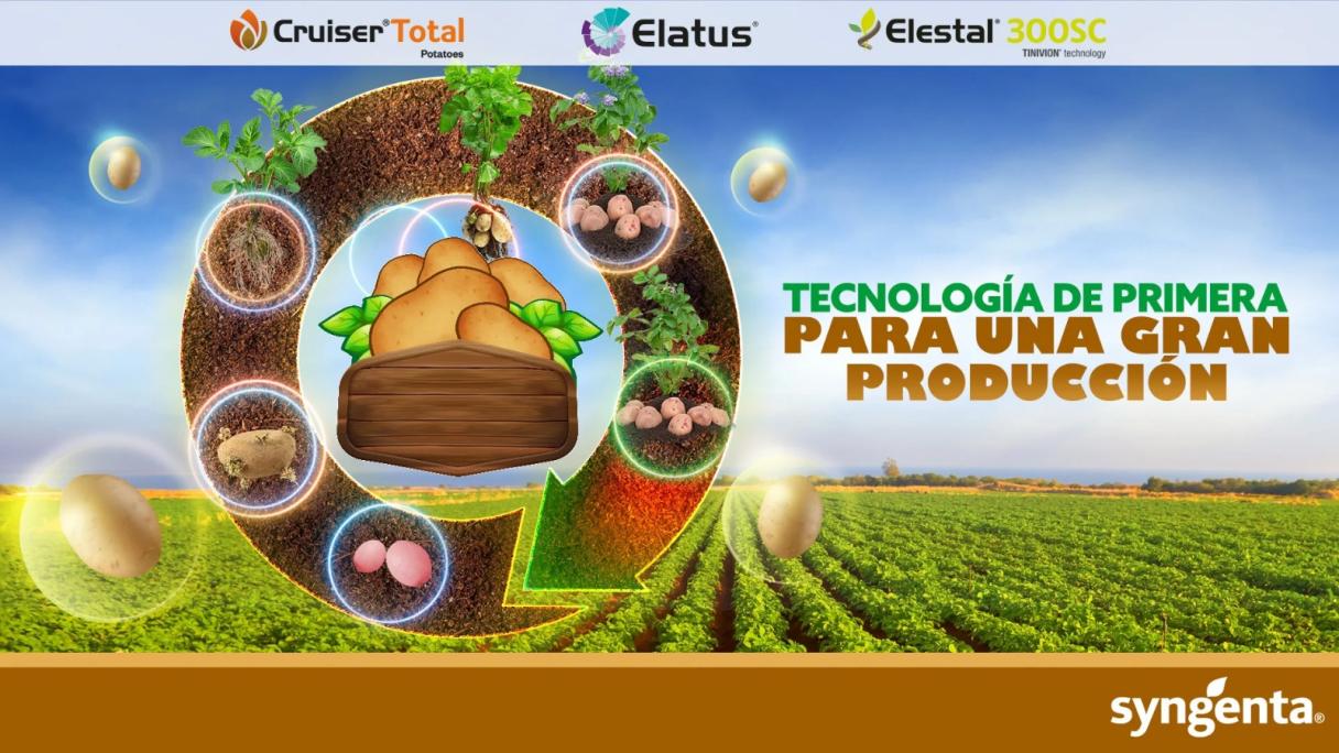 Banner agrícola con semillas y planta; texto “Tecnología de primera para una gran producción”.