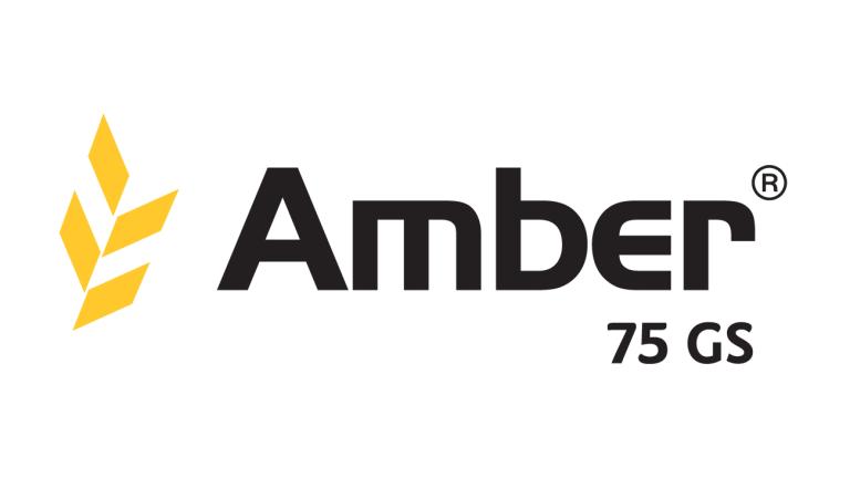 Amber 75GS