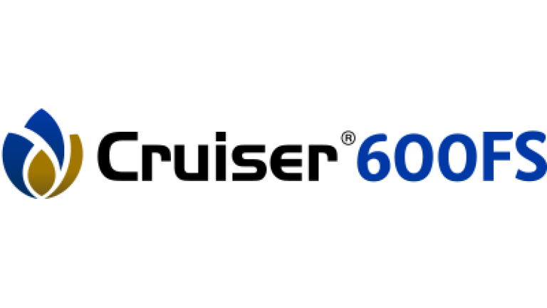 cruiser 600 fs